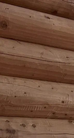 Sierra Log & Timber