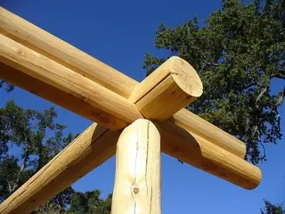 Log home