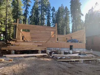 Timber Palace