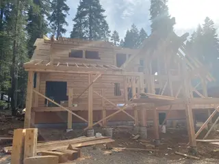 Timber Palace