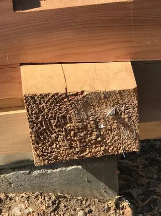 Log home
