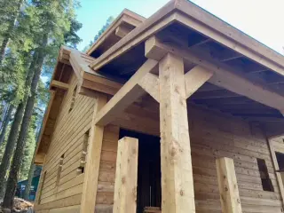 Sierra Log & Timber