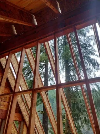 Fishhawk