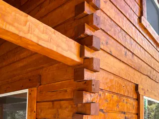 Sierra Log & Timber
