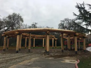 Sierra Log & Timber