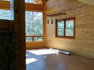 Sierra Log & Timber