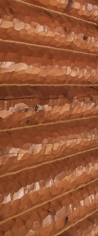 Sierra Log & Timber