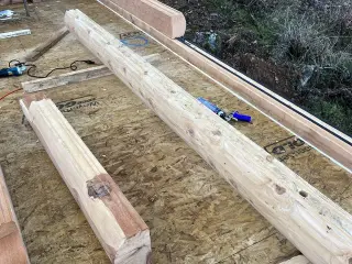 Sierra Log & Timber