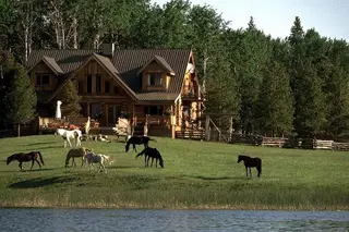 Log home