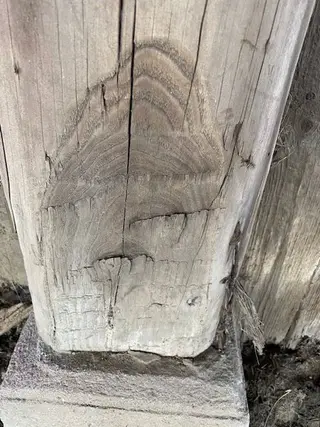Log home
