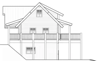 Orchid — elevation 3