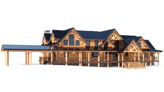 big bear — perspective 1
