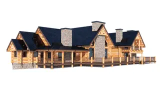 big bear — perspective 3