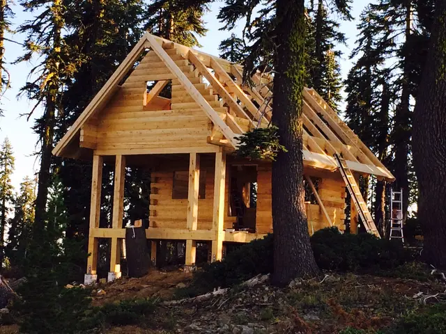 Timber