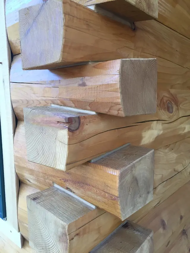 D Logs