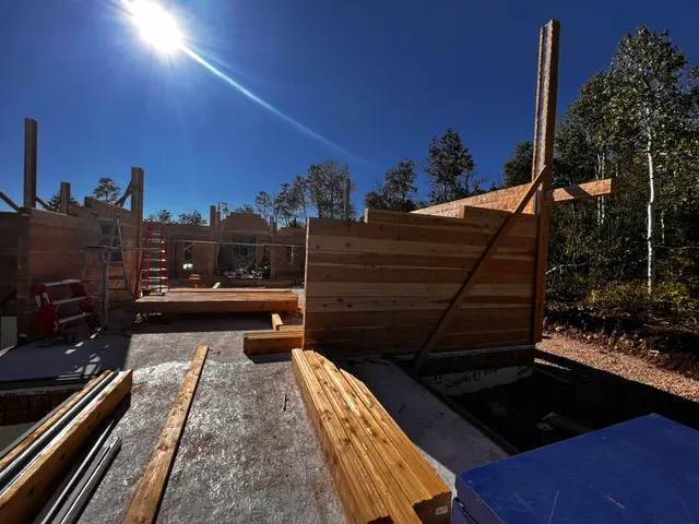 log wall profiles
