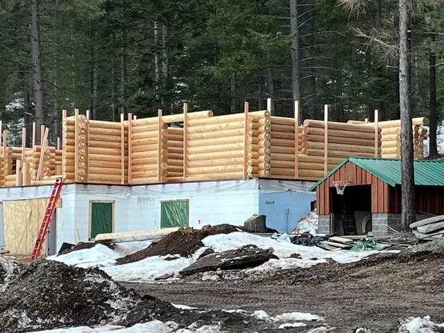 Wapiti