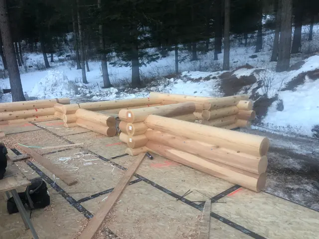 Wapiti