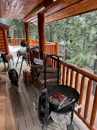 Orchid