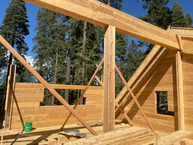 Timber Palace