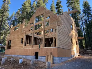 Timber Palace