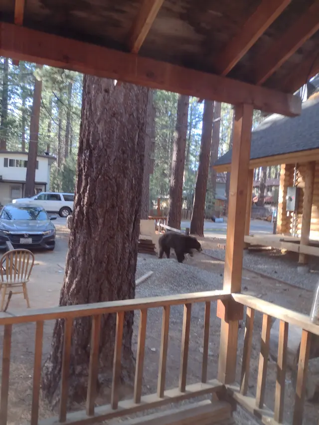 Tahoe
