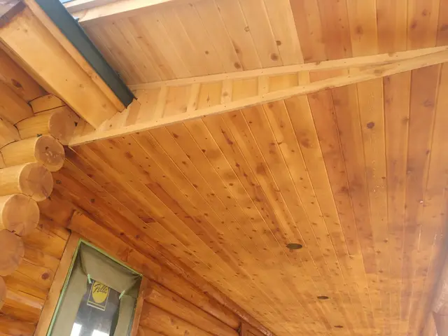Round Logs