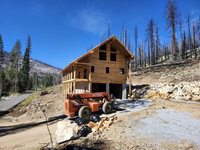 Sierra Pine — project photograph