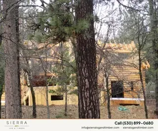 Log home