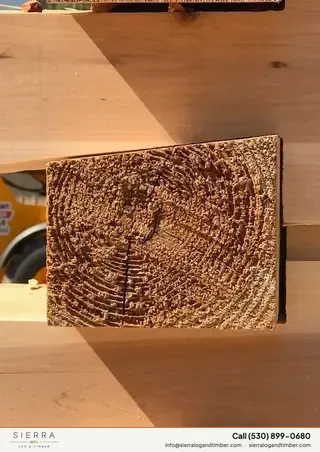 Log home