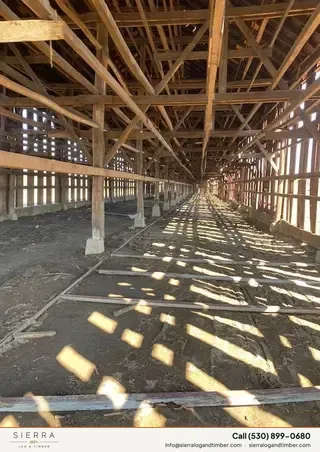 Log home