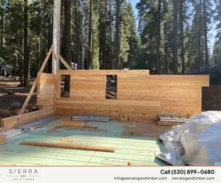 Timber Palace