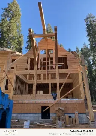 Timber Palace