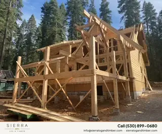 Timber Palace