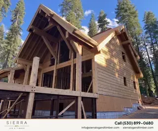 Timber Palace