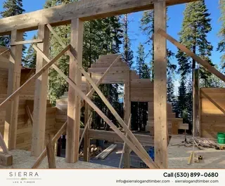 Timber Palace