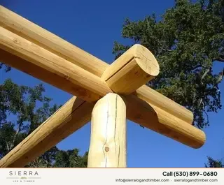 Log home