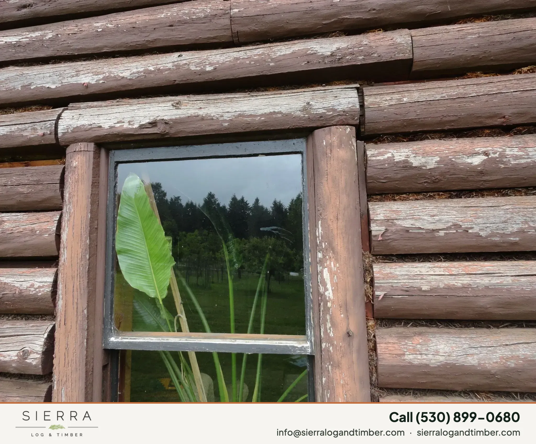 Log home
