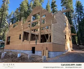 Timber Palace