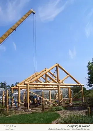Log home