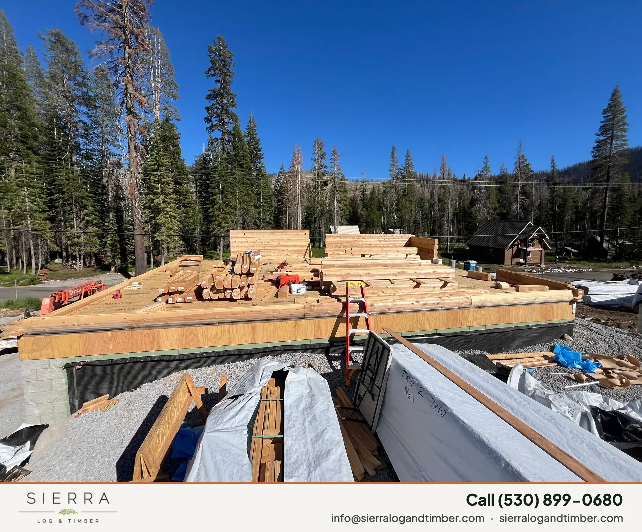 Sierra Pine