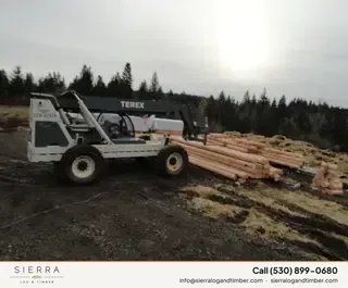 Log home