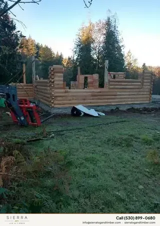 D Logs
