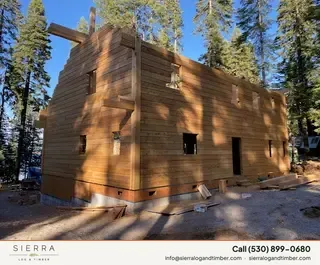 Timber Palace