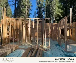 Timber Palace