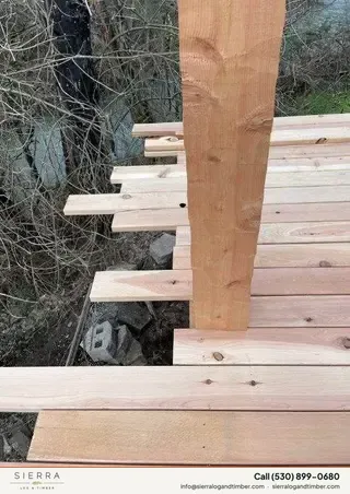 Lookout