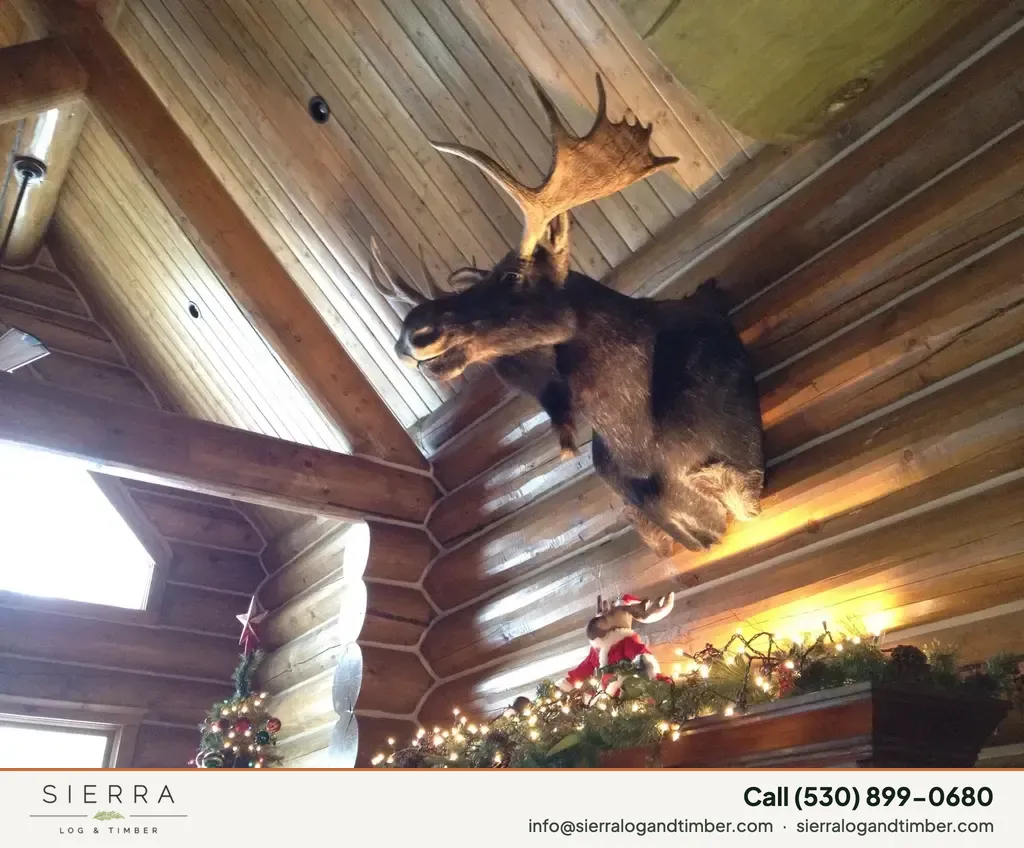 Log home