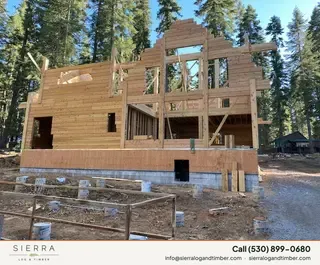Timber Palace
