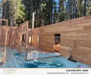 Timber Palace