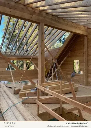 Timber Palace